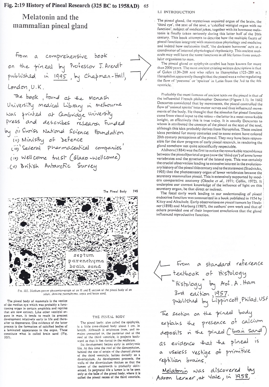 Integrated Model 065