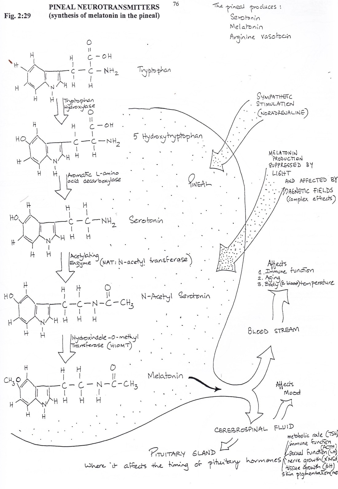 Integrated Model 076