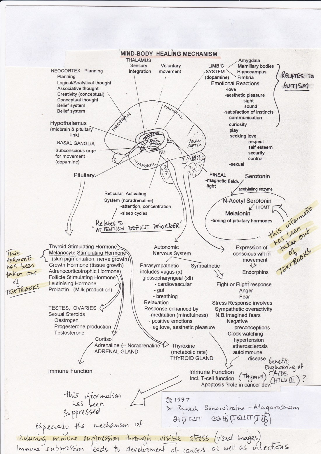 Mind-body healing mechanism